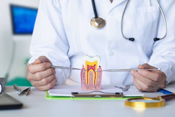 Best Weekend Emergency Dentist in Hill N Dale, FL